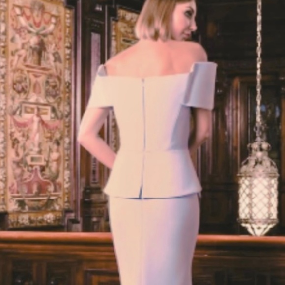 NWT - Alexander by Daymor 1550 Long Plated Formal Peplum Evening Dress - Blush - Picture 6 of 10